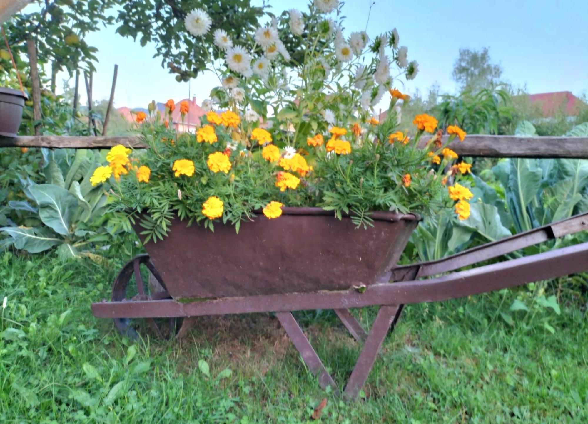 Etno Smjestaj Bjelasica Kolašin Exteriér fotografie