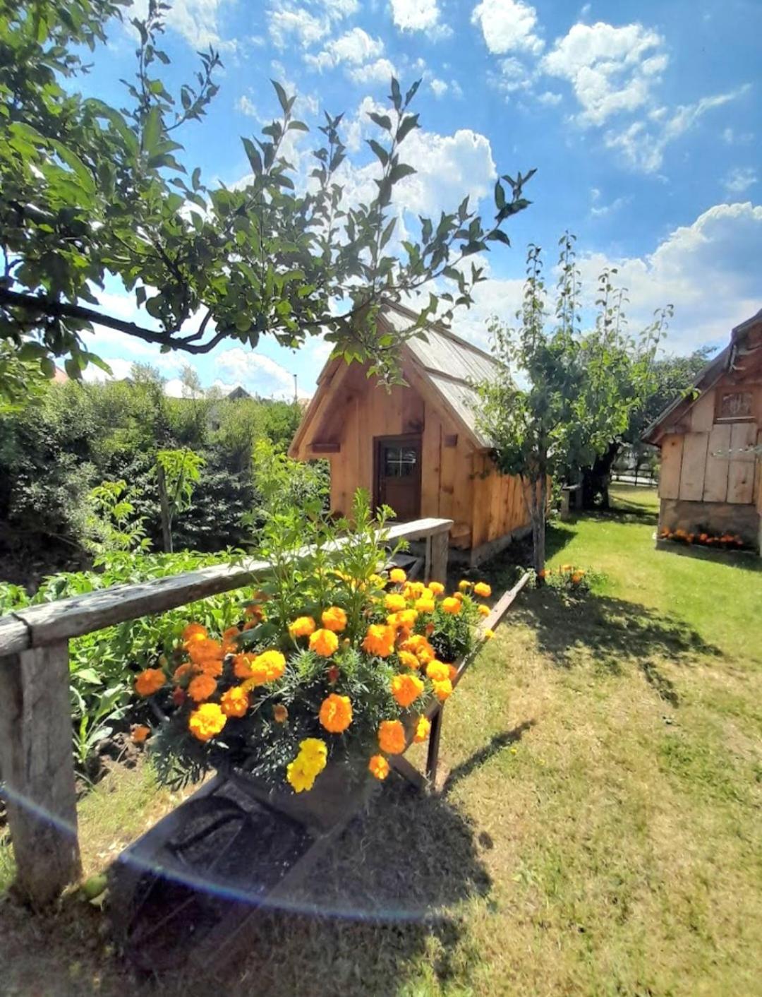 Etno Smjestaj Bjelasica Kolašin Exteriér fotografie