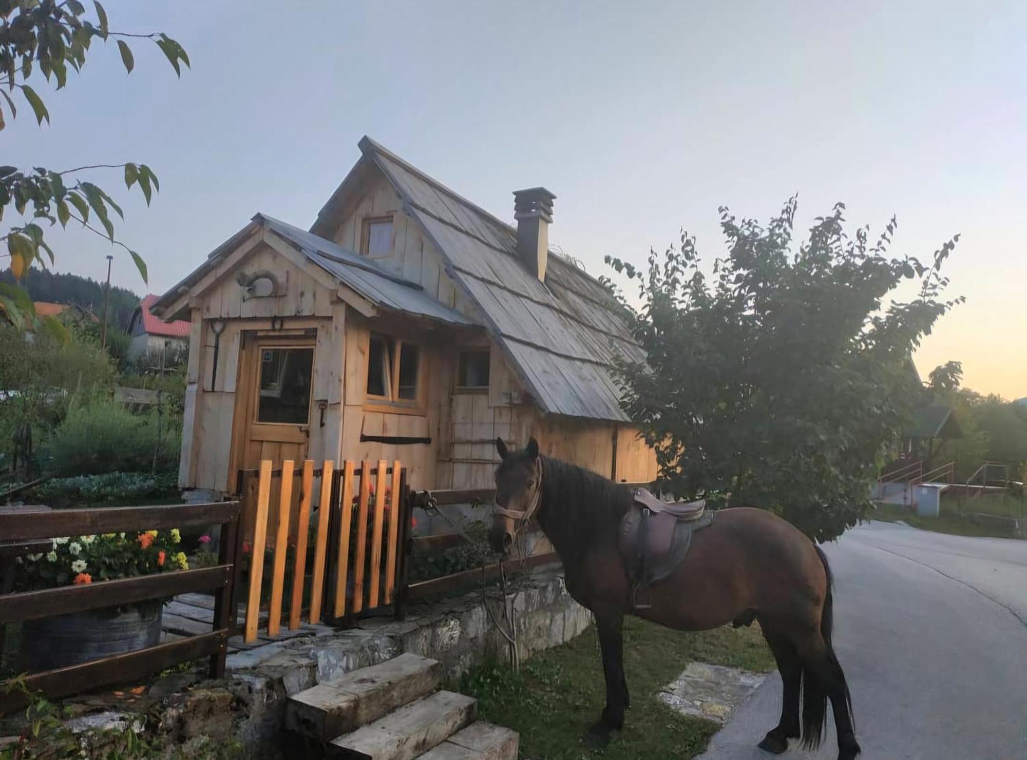 Etno Smjestaj Bjelasica Kolašin Exteriér fotografie